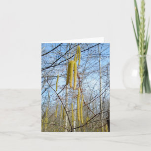 Tarjeta de nota de Birch Catkins