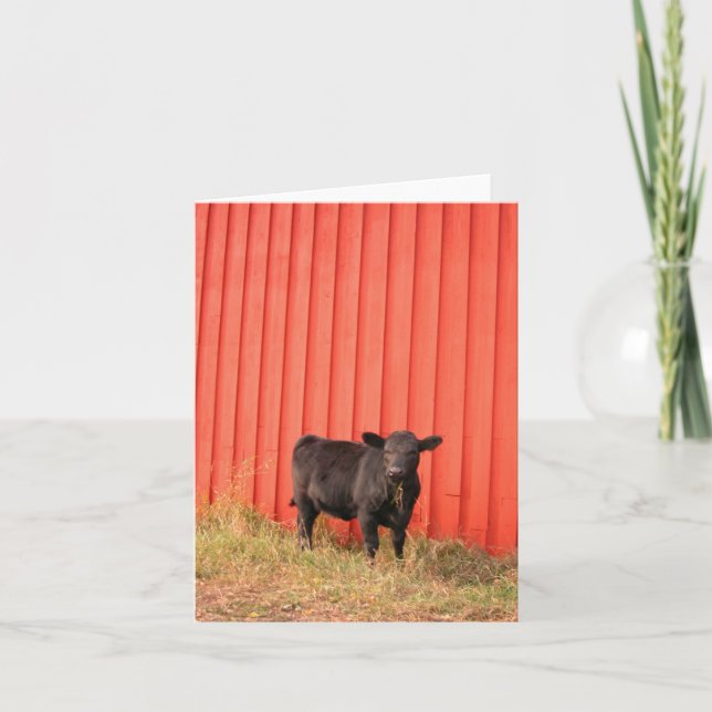 Tarjeta de nota de Black Cow Red Barn (Anverso)