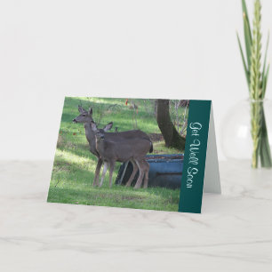 Tarjeta de nota de Blacktail Deer se pone bien pro