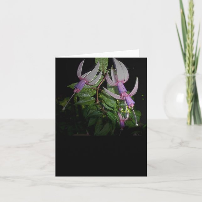 Tarjeta de nota de Blue Fushia (Anverso)