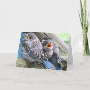Tarjeta de nota de Bluebird