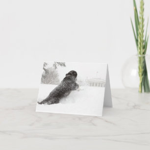 Tarjeta de Nota de Bo Obama - Grounts del Sur