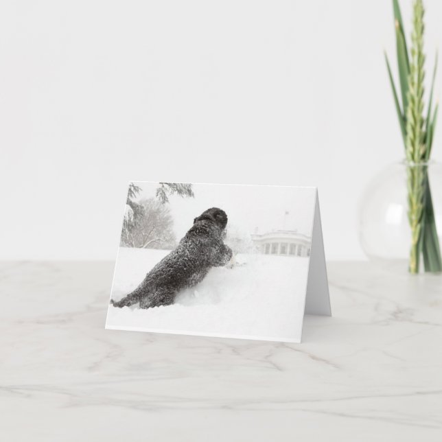 Tarjeta de Nota de Bo Obama - Grounts del Sur (Anverso)