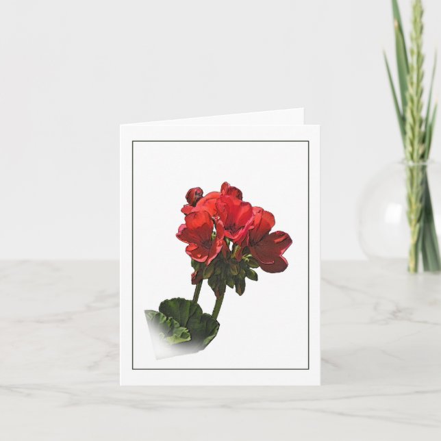 Tarjeta de nota de boceto botánico de geranio rojo (Anverso)