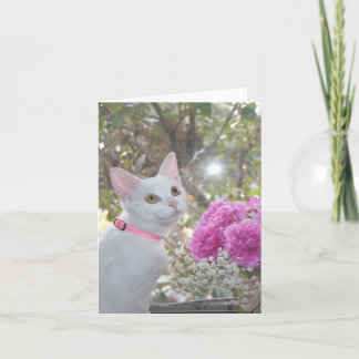 Tarjeta de nota de bonito Kitten