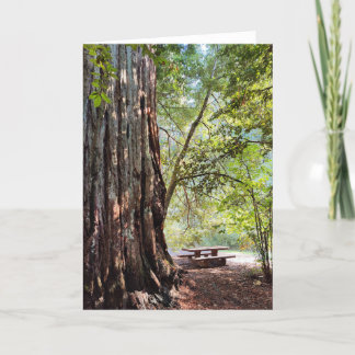 Tarjeta de nota de bosque Redwood