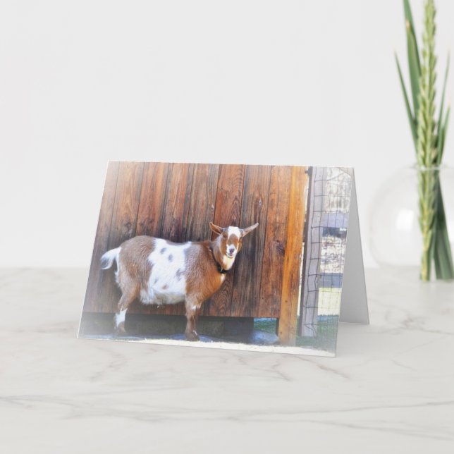 Tarjeta de nota de cabra feliz (Anverso)