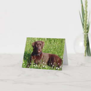 Tarjeta de nota de cachorro de Labrador Retriever