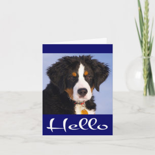 Tarjeta de nota de cachorro de perro de montaña de