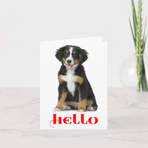 Tarjeta de nota de cachorro de perro de montaña de
