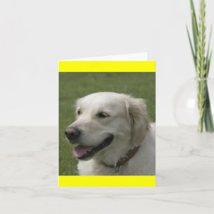 Tarjeta de nota de cachorro de perro retriever dor