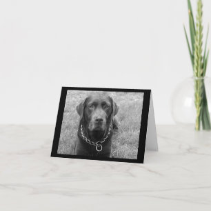 Tarjeta de nota de cachorro Labrador Retriever de