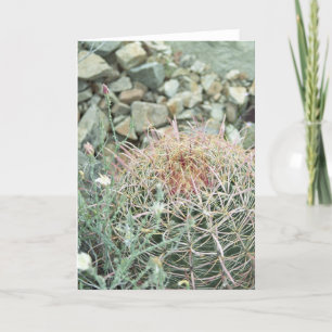Tarjeta de nota de cactus de poesía del desierto o