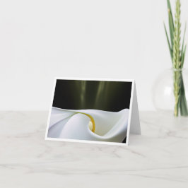 Tarjeta de nota de Calla de Porcelana