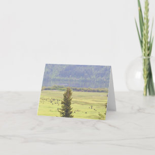 Tarjeta de Nota de Canim Lake Cattle