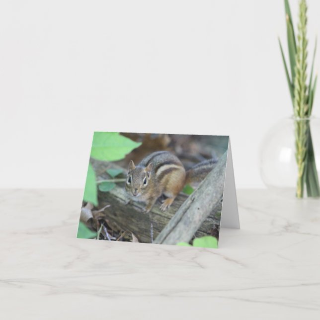 Tarjeta de nota de Chipmunk (Anverso)