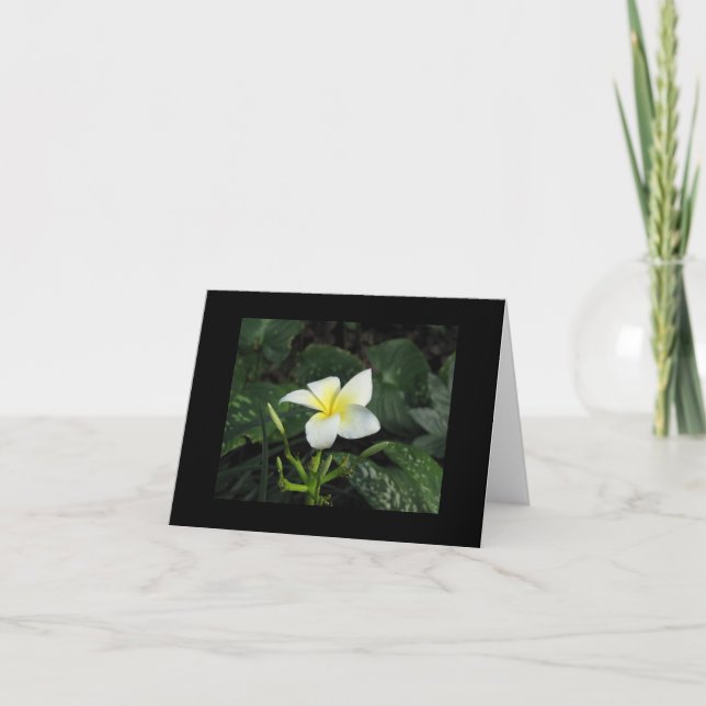 Tarjeta de nota de "cinco pétalos" (Anverso)