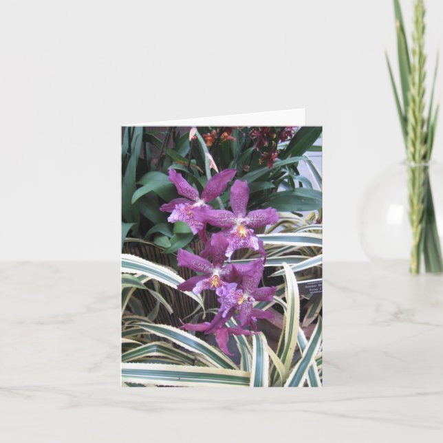 Tarjeta de nota de clúster orquídea (Anverso)