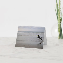 Tarjeta de nota de cogida del disco volador de la