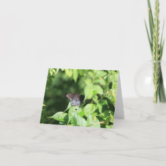 Tarjeta de nota de cola de torneado ocultante