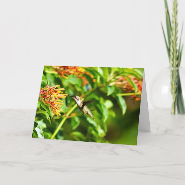 Tarjeta de nota de colibrí<Blank Inside> (Anverso)