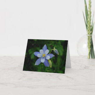 Tarjeta de nota de Colorado Columbine