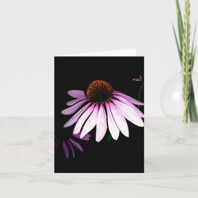 Tarjeta de nota de Coneflower (Anverso)