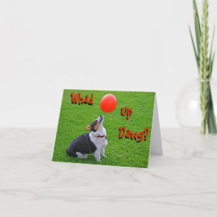 Tarjeta de nota de Corgi galés: ¿Qué tal Dawg?