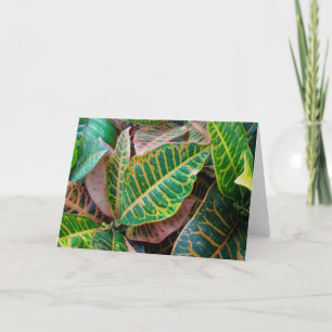 Tarjeta de nota de Croton Leaves