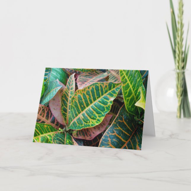 Tarjeta de nota de Croton Leaves (Anverso)