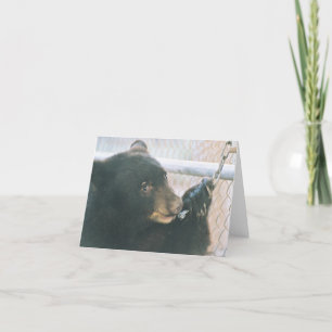 Tarjeta de nota de Cub de oso - cadena