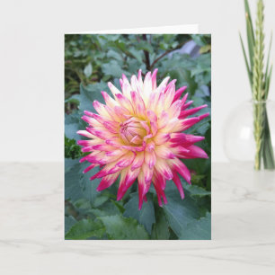 Tarjeta de nota de dahlia rosa Spiky