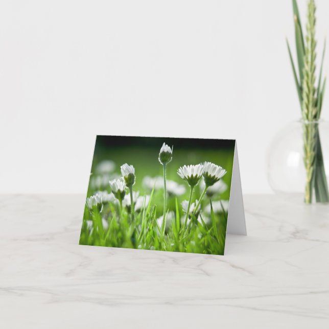 Tarjeta de nota de Daisies (Anverso)