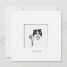 Tarjeta de nota de dibujo de carbón de gato de fel