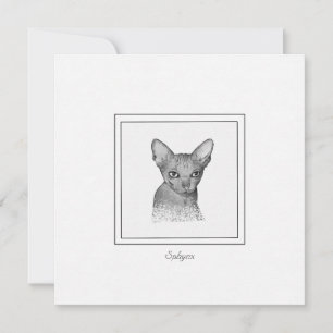 Tarjeta de nota de dibujo de chaleta de gato Sphyn