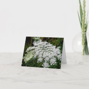 Tarjeta de nota de encaje de Queen Anne