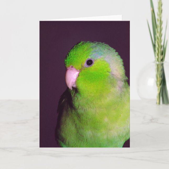 Tarjeta de nota de envío (Anverso)