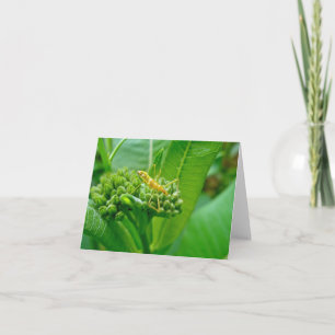 Tarjeta de nota de error Reduviid Assassin