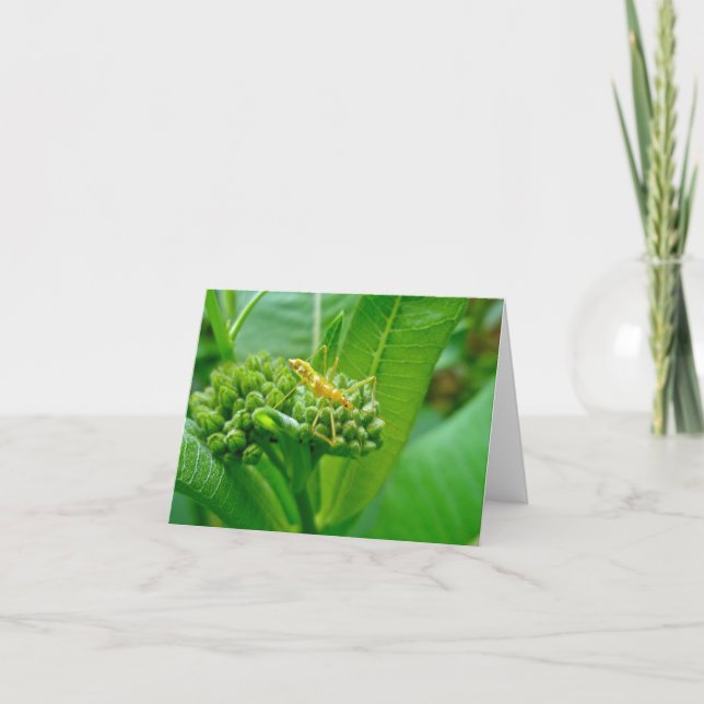 Tarjeta de nota de error Reduviid Assassin (Anverso)