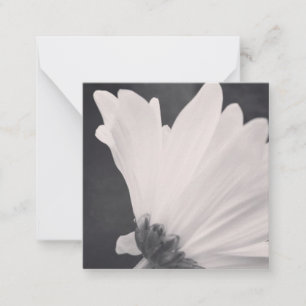 Tarjeta de nota de flor blanca y negra con lado en