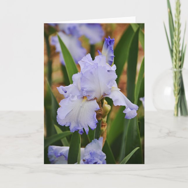 Tarjeta de nota de flor de iris azul Periwinkle (Anverso)