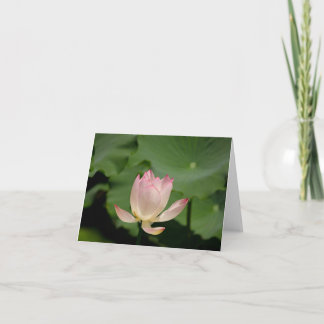 tarjeta de nota de flor de loto