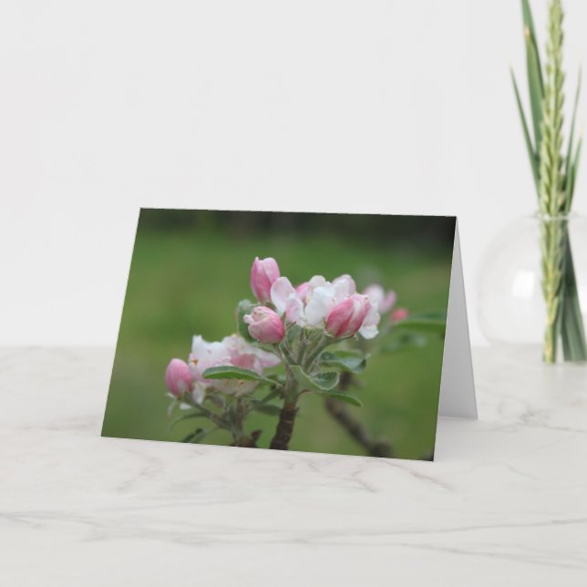 Tarjeta de nota de flor de manzano (Anverso)