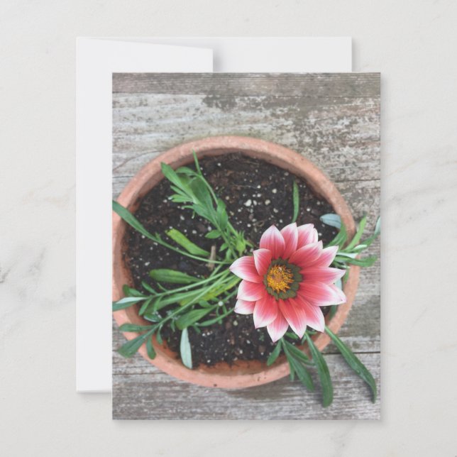 Tarjeta de nota de flor rosa (Anverso)