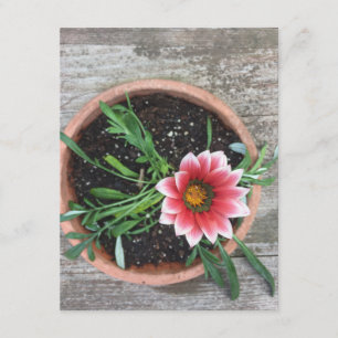 Tarjeta de nota de flor rosa