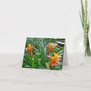 Tarjeta de nota de floración amarilla naranja Brom