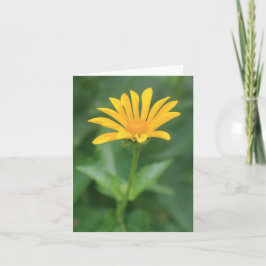 Tarjeta de nota de flores amarillas solitarias