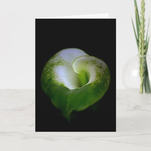 Tarjeta de nota de flores de Calla blanca y verde  (Anverso)