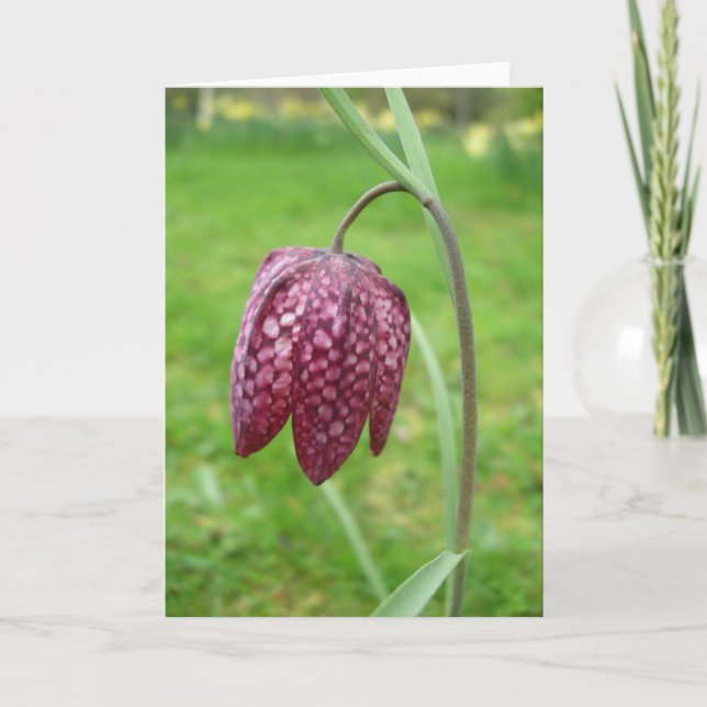 Tarjeta de nota de flores de Fritillary (Anverso)