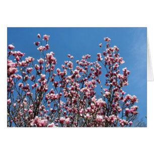Tarjeta de nota de flores de magnolia rosadas ciel